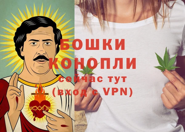 сатива Балахна