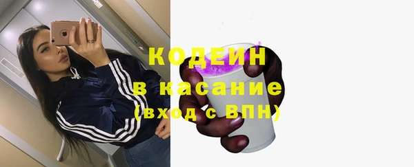 сатива Балахна