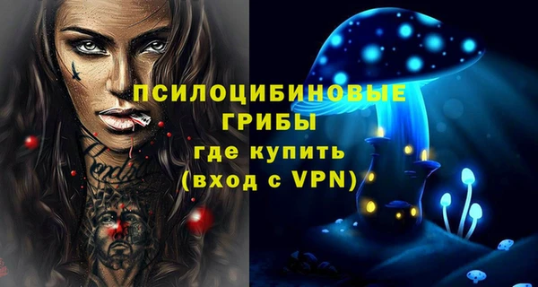 сатива Балахна