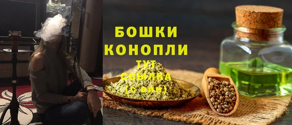 сатива Балахна