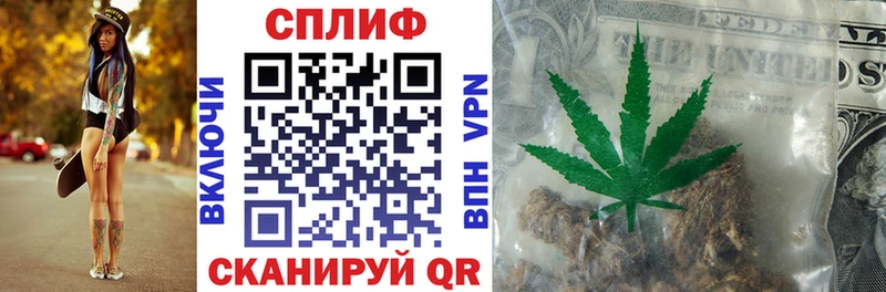 сколько стоит  Белёв  гидра tor  Бошки марихуана сатива 
